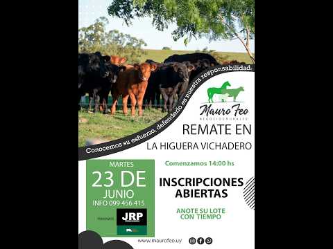 23/06/2026 Local La Higuera - Vichadero - Rivera - Feria Mensual - Mauro Feo | Clic Rural