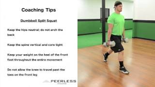 291. Dumbbell Split Squat