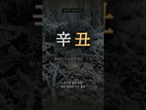 언 땅 속의 보석 | 신축(辛丑) 일주
