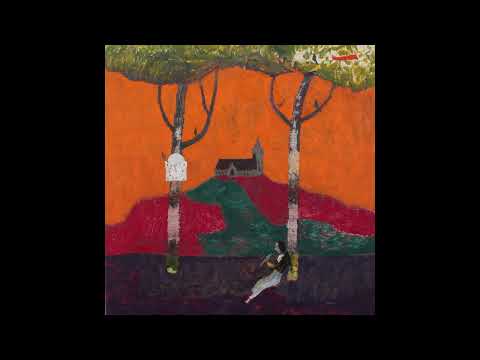 Abundance - The Felice Brothers