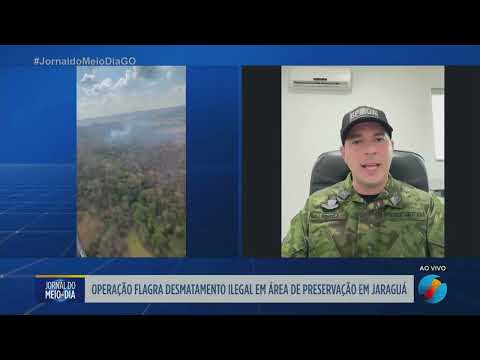 Operação flagra desmatamento ilegal em área de preservação em Jaraguá