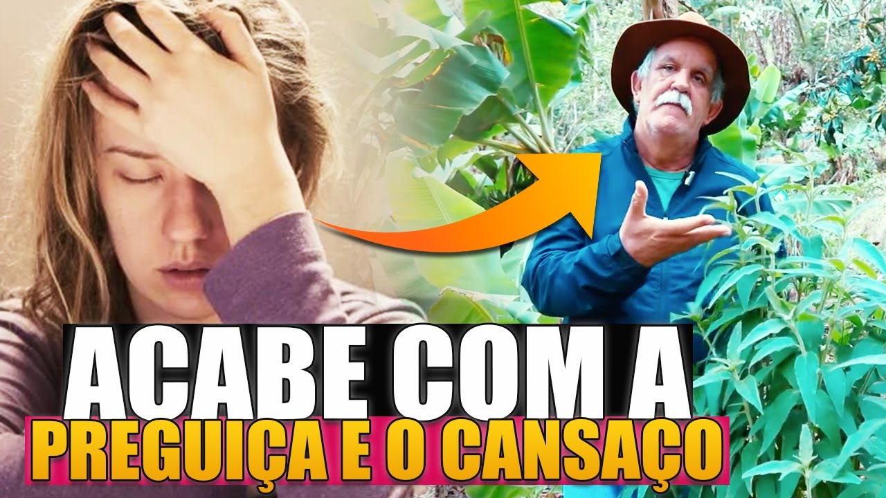 3 PLANTAS PODEROSAS PARA VOCÊ TER MAIS ENERGIA APÓS OS 45 ANOS