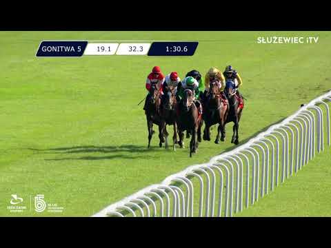 29.08.2021 (D31; G5; Tor: 3,4; 18°C) Nagroda St. Leger - L (kat.A)