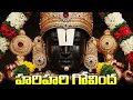 హరిహరి గోవింద HARI HARI GOVINDA Tirumala Balaji Songs Venkateswara Swamy Tel
