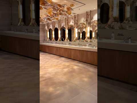 Dubai Mall Toilet Looks Like a 7-Star Hotel! 🤯✨ | #shorts