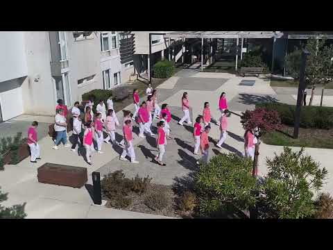 image video : Solidaire en rose et en dansant