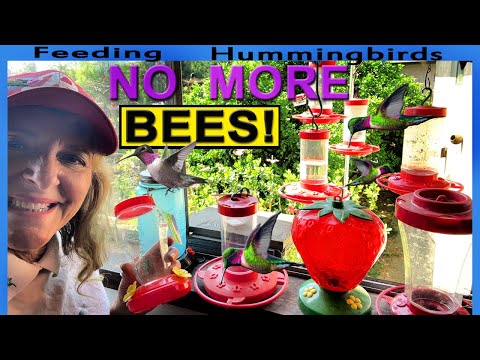 KEEPING Bees Off Hummingbird Feeder 💮 BE AWARE of Bee Proof Issues Before YOU Buy 🌺 EASY to Clean