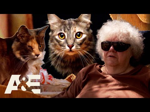Hoarders: Over 75 Cats TAKE OVER Shirley's Home | A&E