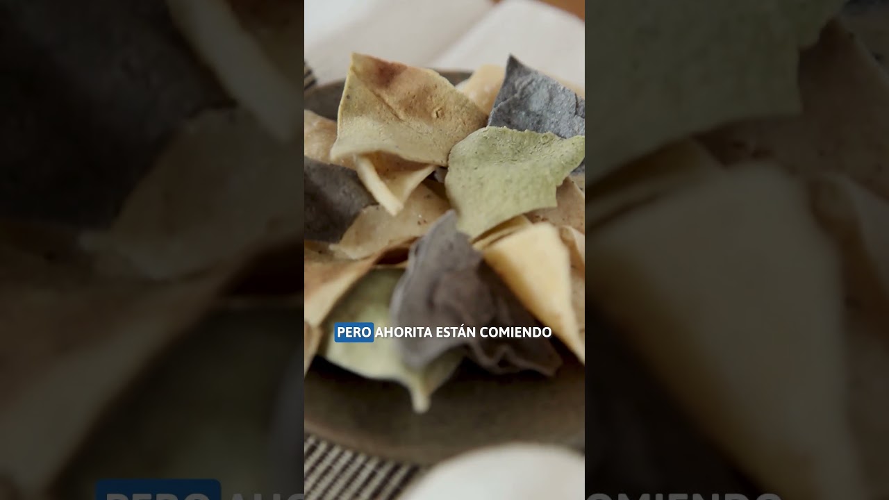 Consolidar fincas productivas y diversificadas es un paso clave para el acceso a alimentación