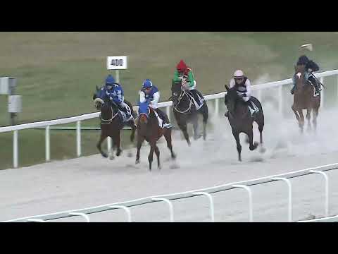 2023.07.02 7. FUTAM - KINCSEM+ - MEZŐHEGYESI DÍJ (II.KAT.) (SZINTETIKUS PÁLYA)