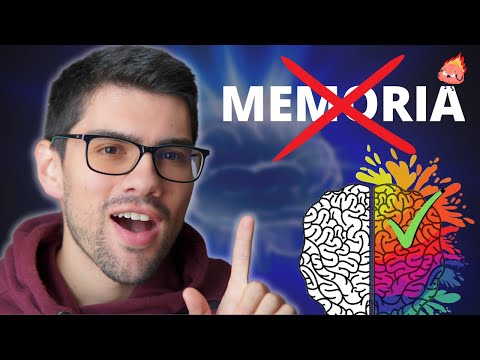 ¿Y si aprender NEUROANATOMÍA fuera cuestión de CREATIVIDAD?