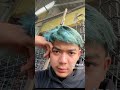 Kalo Ini Miliku Izin Ngehalu Mas Boy Garudawisnusatriamuda Masboygwsm Gwsm Bantulike