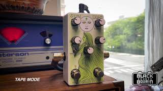Video thumbnail for Old Blood Noise Endeavors Sunlight Exclusive Sage by Black Bobbin