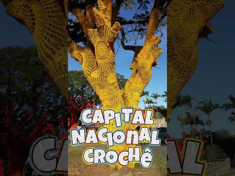 Minas 😱 CIDADE onde ÁRVORES usam 🧶 CROCHÊ! 🧶 #Inconfidentes