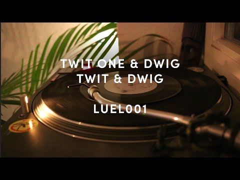Twit One & DWIG - Twit & DWIG EP // Luettje Luise (LUEL001)