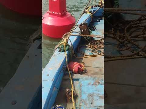 SKPY-1300 BUOY