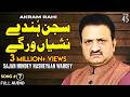 Sajan Hundey Nasheyaan Wargey FULL AUDIO SONG Akram Rahi 2002