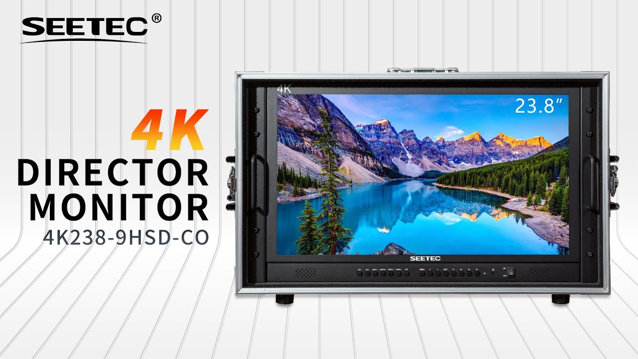 SEETEC 23.8