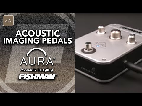 Câble D'alimentation Fishman Aura Acoustic Imaging Blender | 9V, 2 Mètres, Adaptateur UK | Pour Pédale Effets Guitare Acoustique/électrique