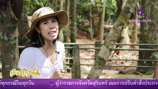 รายการเมืองไทยดี๊ ดี ตอน บ้านถ้ำผึ้งหมู่บ้านรางวัลลูกโลกสีเขียว