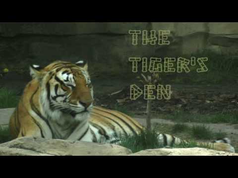 January 23rd Power Trading Hour with David White on TFNN   2017