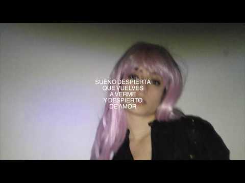 PAVVLA - Tot el meu cos (lyric video)