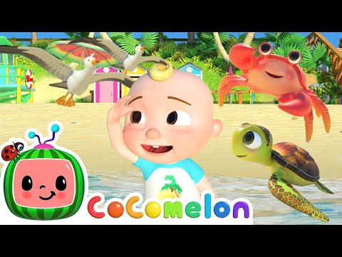 Finding Sea Animals at The Beach | Cocomelon | Kids Song | Toddlers cartoon show | Learning video