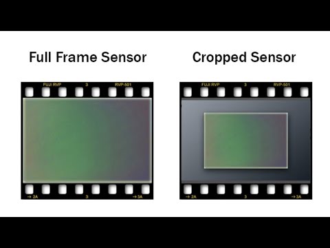 Full Sensor vs. Crop Sensor | Shanks FX | PBS Digital Studios