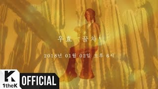 [Teaser] OOHYO(우효) _ Honey Tea(꿀차)