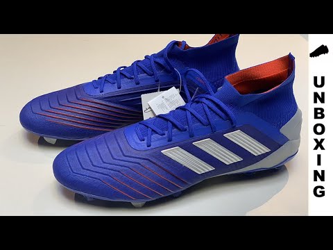 adidas adidas Predator 19.1 FG/AG Exhibit - Bold Blue/Silver Metallic