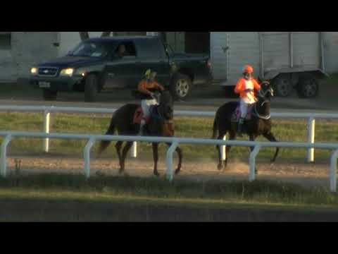 CARRERAS SINT PAYSANDU - 210429 c08 1° STORM DEMO