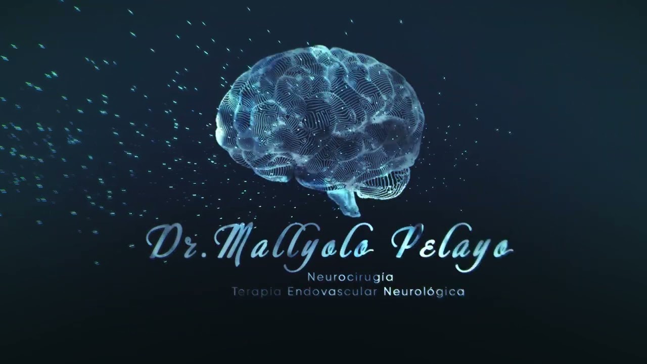 Mallyolo Eliezer Pelayo Salazar-4