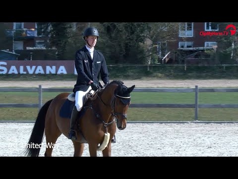 Hengstvorführung Mai 2021 | United Way