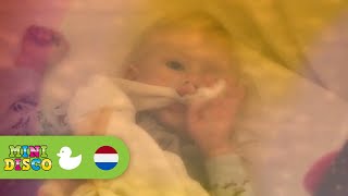 Dromenland | Kinderliedjes | Liedjes voor peuters en kleuters | Minidisco