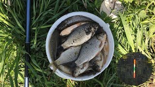 Клев на неделю в калужской области