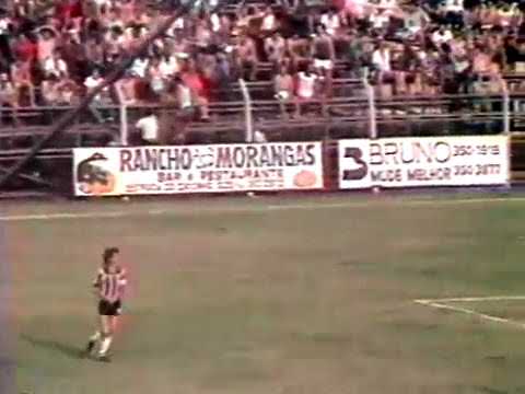 Carioca de 1980 Botafogo 4 x 0 Serrano