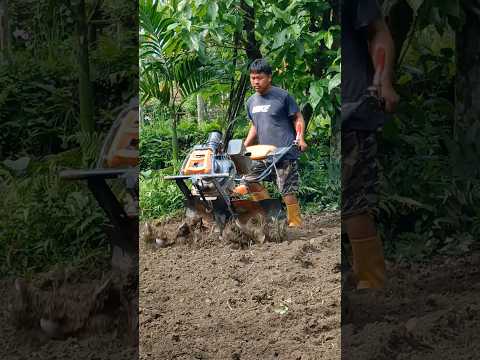 #farming #football #youtubeshort