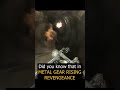 Did you know that in Metal Gear Rising Revengeance...