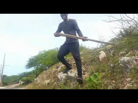 Chronic Law ft Anju Blaxx - Kill Dem Ft @nardo_icstars