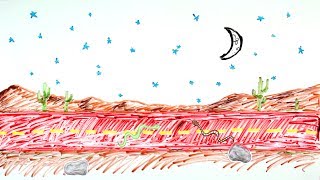 What is Thermal Inertia?