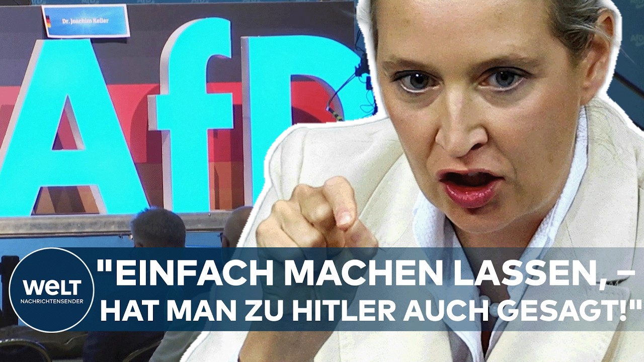 DEUTSCHLAND: Brutale Ansage! Einfach mal die AfD regieren lassen? "Hat man zu Hitler auch gesagt!"