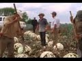 Tequileros Pelicula Completa