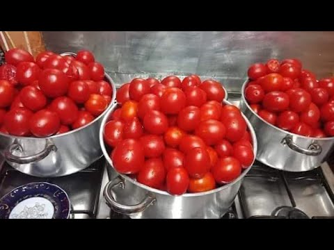 , title : 'تفريز الطماطم لشهر رمضان وطول ايام السنه بطريقه جديده هتعملي٥٠كيلو في ربع ساعه'