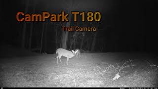 Trail Cam Tuesday - April 18, 2023