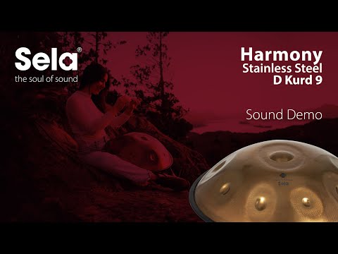 Sela SE 201 Harmony Handpan D Kurd Stainless Steel