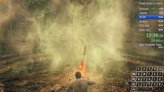 Dark souls 2 any% restricted pb 54.19