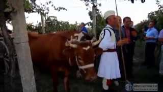 preview picture of video 'Албания. Фестиваль вина в Берате. Albania wine festival in Berat'