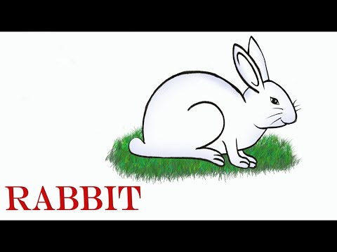 How to draw a rabbit step by step (very easy) || Art...