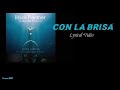 Con La Brisa by Foudeqush | Lyrical Video | With English Translation | Black Panther Wakanda Forever