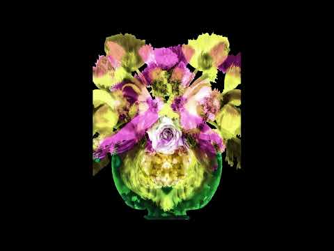 Floral Expressions by Ileana Collazo